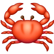 Crabe Crabe