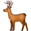 Cerf Cerf