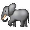 Éléphant Éléphant