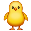 Poussin De Face Poussin De Face