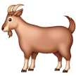 Chèvre Chèvre