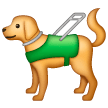 Chien Guide Chien Guide