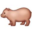 Hippopotame Hippopotame