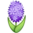 Jacinthe Jacinthe