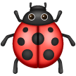 Coccinelle Coccinelle