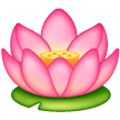Fleur De Lotus Fleur De Lotus