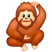 Orang-Outan Orang-Outan