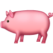 Cochon Cochon
