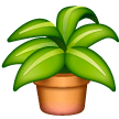 Plante En Pot Plante En Pot