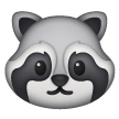 Raton Laveur Raton Laveur