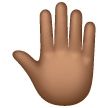 Dos De Main Levée: Peau Moyennement Foncée Dos De Main Levée: Peau Moyennement Foncée