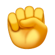 Poing Levé Poing Levé
