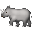 Rhinocéros Rhinocéros