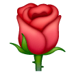 Rose Rose