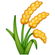 Plant De Riz Plant De Riz