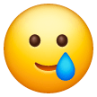 Visage Souriant Avec Une Larme Visage Souriant Avec Une Larme