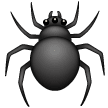 Araignée Araignée