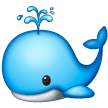 Baleine Soufflant Par Son Évent Baleine Soufflant Par Son Évent