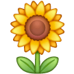 Tournesol Tournesol
