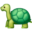 Tortue Tortue