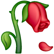 Fleur Fanée Fleur Fanée