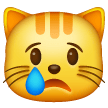 Crying Cat for Samsung One UI 7.0 April 2025
