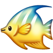 Tropical Fish for Samsung One UI 7.0 April 2025