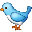 Pájaro