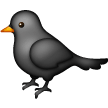 Pájaro negro