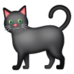 Gato Preto