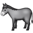 Burro
