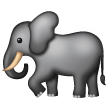 Elefante