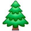 Árbol De Hoja Perenne