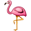 Flamenco