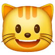 Rosto De Gato Sorrindo