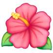 Flor De Hibisco
