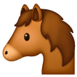 Rosto De Cavalo