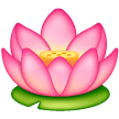 Loto