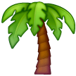 Palmera