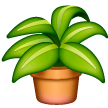 Planta De Maceta
