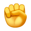 Punho Levantado