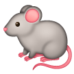 Rato