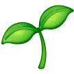 Planta Joven