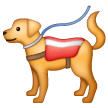 Cão De Serviço