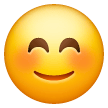 Rosto Sorridente Com Olhos Sorridentes