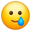 Rosto Sorridente Com Lágrima