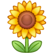 Girasol
