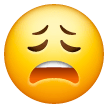 Rosto Desolado
