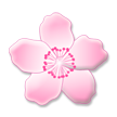 Flor De Cerejeira