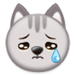 Rosto De Gato Chorando